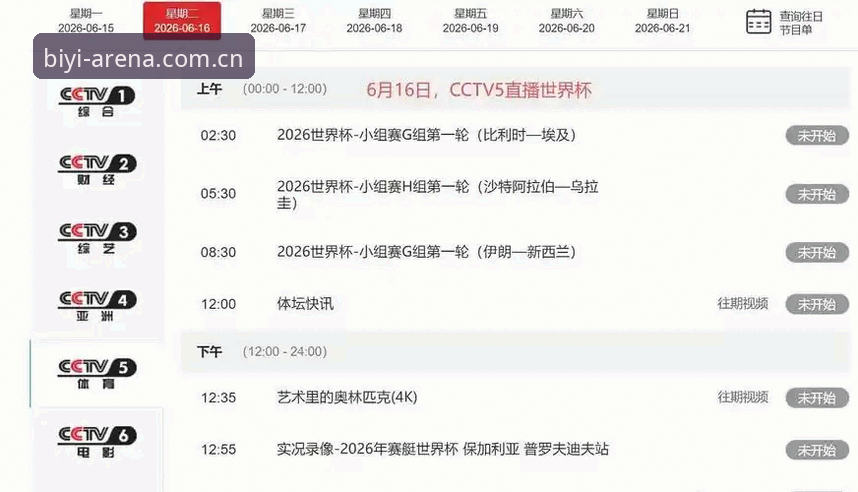 世界杯观赛困境深度评测：签证危机如何影响全球球迷的赛事体验